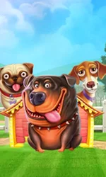 The Dog House