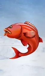 Ice Fishing
